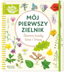 Mój pierwszy zielnik. Zbieram kwiaty, liście i.. - Stefanie Zysk, Yousun Koh, Magdalena Jałowiec