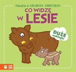 Nauka z grubym obrysem. Co widzę w lesie - Lidia Szwabowska