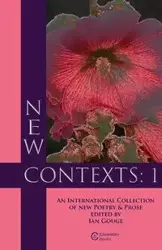 New Contexts - Gouge Ian