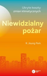 Niewidzialny pożar. Ukryte koszty zmian... - R. Jisung Park