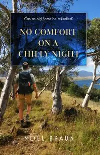 No Comfort on a Chilly Night - Noel Braun