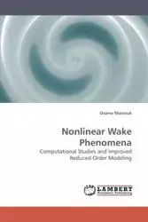 Nonlinear Wake Phenomena - Marzouk Osama