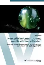 Numerische Untersuchung von Kavitationseffekten - Marco Riedel