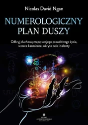 Numerologiczny plan duszy - Nicolas David Ngan