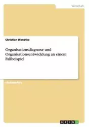 Organisationsdiagnose und Organisationsentwicklung an einem Fallbeispiel - Christian Wandtke