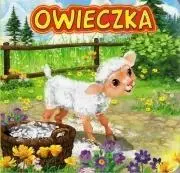 Owieczka JAFI - Kataryzna Campbell