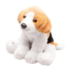 Pies Beagle - SUKI plusz