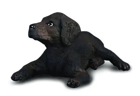 Pies labrador szczęnię - Collecta