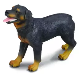 Pies rottweiler - Collecta