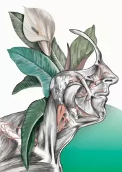 Plakat Floral head - Biomedica