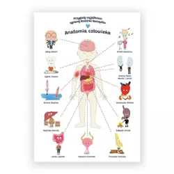 Plakat edukacyjny. Anatomia człowiek A2 - Biomedica