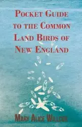 Pocket Guide to the Common Land Birds of New England - Mary Alice Willcox