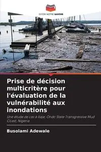 Prise de décision multicritère pour l'évaluation de la vulnérabilité aux inondations - Adewale Busolami