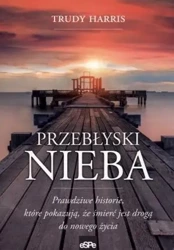 Przebłyski nieba - Trudy Harris