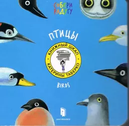 Ptaki (język rosyjski) - Taberko Katya
