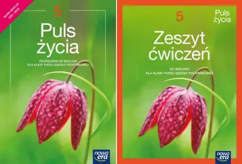 Puls życia 5 Podręcznik Zeszyt ćwiczeń 2021 - Marian Sęktas, Joanna Stawarz