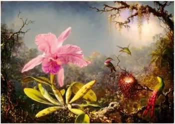 Puzzle 1000 Orchidea Cattleya i trzy kolibry - Bluebird Puzzle