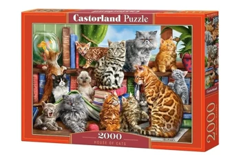 Puzzle 2000 House of Cats CASTOR - Castorland