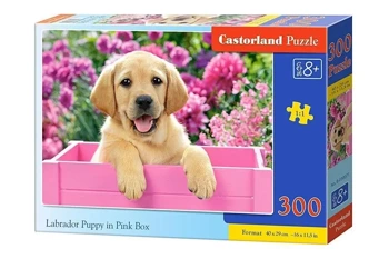 Puzzle 300 Szczenię Labrador w róż. pudle CASTOR - Castorland