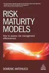 Risk Maturity Models - Domenic Antonucci