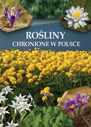 Rośliny chronione w Polsce - praca zbiorowa