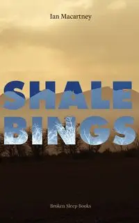 Shale Bings - Ian Macartney