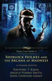 Sherlock Holmes and the Arcana of Madness - Grant John Linwood