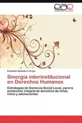 Sinergia interinstitucional en Derechos Humanos - Elizabeth Ballestero Araya