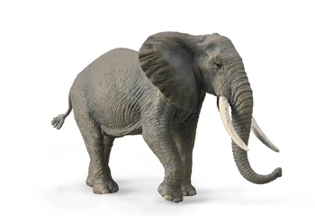 Słoń Afrykański - Collecta