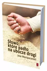 Słowo, które padło na ubocze drogi - ks. Jose Maniparambil