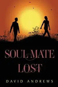 Soul Mate Lost - David Andrews