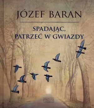 Spadając patrzeć w gwiazdy - Józef Baran