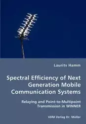 Spectral Efficiency of Next Generation Mobile Communication Systems - Hamm Laurits