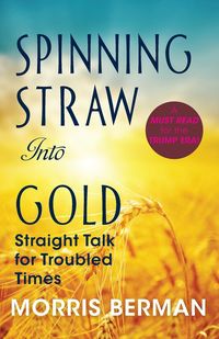 Spinning Straw Into Gold - Morris Berman