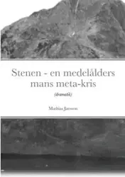 Stenen - en medelålders mans meta-kris - Jansson Mathias