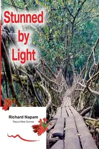 Stunned by Light - Richard Napam