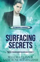 Surfacing Secrets - Quinn Bellora