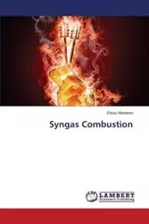 Syngas Combustion - Monteiro Eliseu