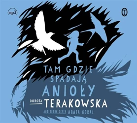 Tam, gdzie spadają Anioły - Dorota Terakowska