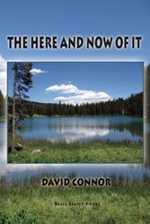 The Here and Now of It - David Connor