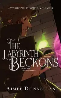 The Labyrinth Beckons - Aimee Donnellan