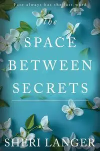 The Space between Secrets - Sheri Langer