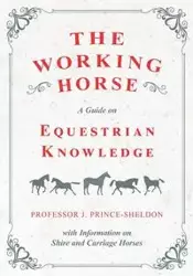 The Working Horse - A Guide on Equestrian Knowledge with Information on Shire and Carriage Horses - Various.