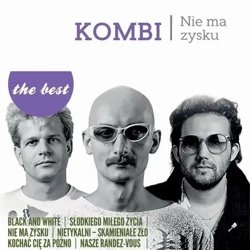The best - Nie ma zysku LP - Kombi