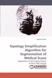 Topology Simplification Algorithm for Segmentation of Medical Scans - Jaume Sylvain