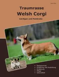 Traumrasse Welsh Corgi - Stan Ingrid