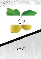 Two lemons - Hajian Kamal