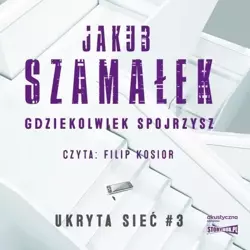 Ukryta sieć T.3 Gdziekolwiek spojrzysz audiobook - Jakub Szamałek