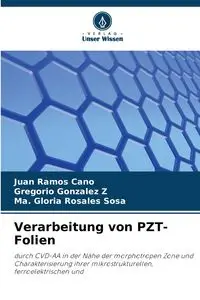 Verarbeitung von PZT-Folien - Juan Ramos Cano