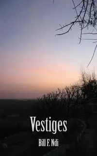 Vestiges - Bill F. Ndi